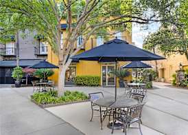 Hilton Vacation Club Lodge Alley Inn Charleston 2