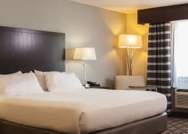 Holiday Inn Express LE CLAIRE RIVERFRONT-DAVENPORT by IHG 4