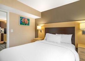 MainStay Suites Houston NASA-Clear Lake 4