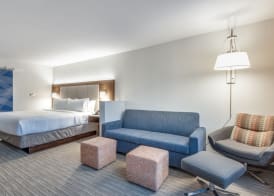 Holiday Inn Express & Suites DALLAS NORTH - ADDISON by IHG 3