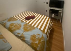 ROOM GRASS 3
