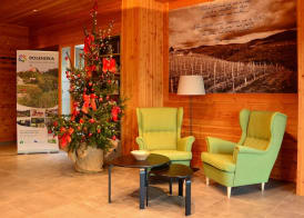 Hotel Dolenjc 2
