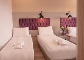 The Lola Hotel 3