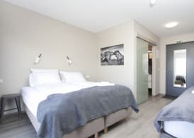 Arnarstapi Hotel 4