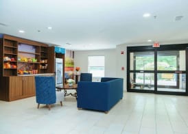 Clarion Pointe-Dillard near Blue Ridge Mountains 4