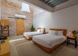 Mayan Monkey Los Cabos - Social Hotel 4