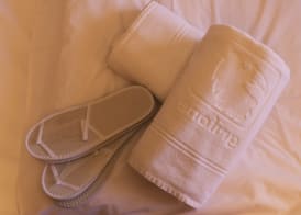 Style Hotel Grifone 4