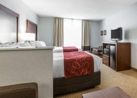 Comfort Suites Downtown Sacramento 5