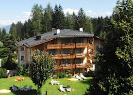 Soldanella by Hotel Adula 2