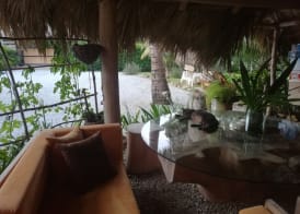 Residencia El Balatà 3