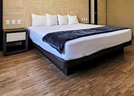 Hotel Paseo de la Presa 4
