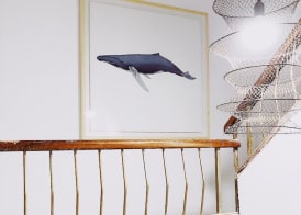 Duna Hotel Boutique 4