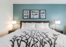 Sleep Inn and Suites - Ankeny 4