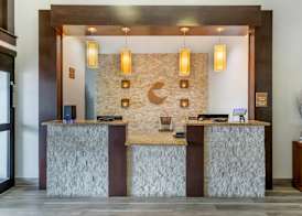 Comfort Inn & Suites Houston FM1960 - Champions 2