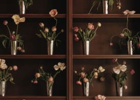 Parkhotel Mondschein, a Member of Design Hotels 5