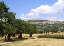 Casale San Rufino D'Arce 3