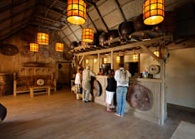 PUY DU FOU - Les Îles De Clovis + tickets 2