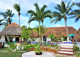 Mayan Mittoz 4