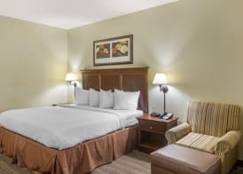 Country Inn & Suites by Radisson, Atlanta Downtown 5