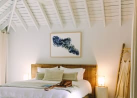 Elysian Luxury Eco Island Retreat 5