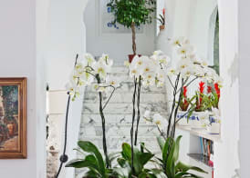 Villa San Felice 2