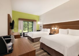 Holiday Inn Express & Suites LAVONIA by IHG 3