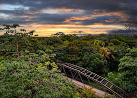 Botanika Osa Peninsula, Curio Collection By Hilton 2