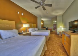 Holiday Inn Express & Suites LUBBOCK SOUTHWEST - WOLFFORTH by IHG 4