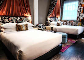 The Radical Asheville, Tapestry Collection by Hilton 5