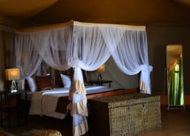 Serengeti Safari Lodge 3