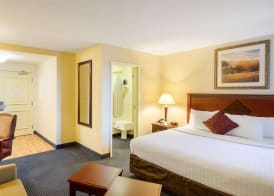 Mainstay Suites Dover 5