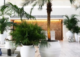 The Bodrum EDITION 4