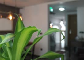 The Xenia Hotel 4