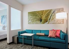 Springhill Suites by Marriott Chicago Schaumburg/Woodfield Mall 4