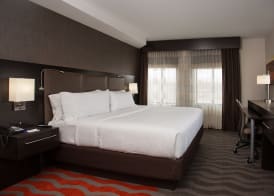 Holiday Inn Express SPRINGFIELD DOWNTOWN by IHG 4