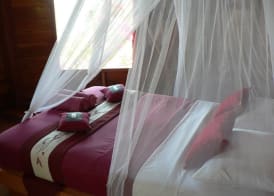 Waecicu Eden Beach Hotel 5