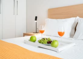 Sofia Luxury Villas 4