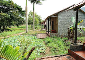 Viet Hai Lan Homestay 4