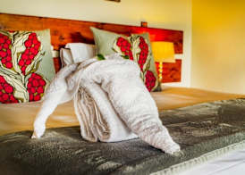 Tshikwalo Game Lodge 2