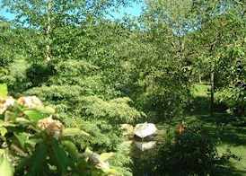 Chycara House 2