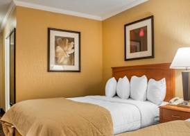 Clarion Hotel & Suites Riverfront 3