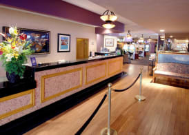 Mardi Gras Hotel & Casino 2