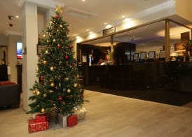 Devoncove Hotel 4