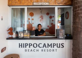 Hippocampus Beach Resort 3