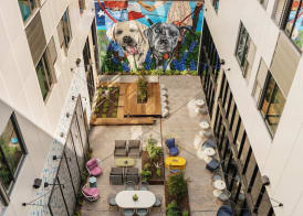Origin Austin, a Wyndham Hotel 3