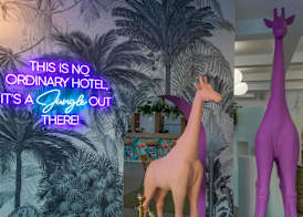 ibis Styles Venus 4