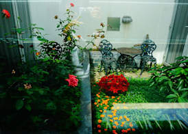 Hotel Kapok - Forbidden City 2