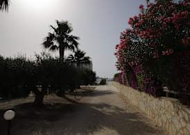 Oasi Guzzetta Hotel&Case Vacanze 4