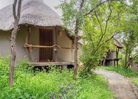 Warthogs Bush Lodge 3