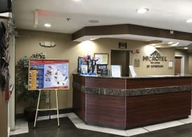 Microtel Inn & Suites by Wyndham Lithonia/Stone Mountain 3